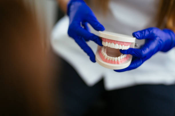 Best Veneers and Lumineers  in Punta Gorda, FL